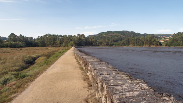 Palabras chave: rias baixas, arcade, salinas, ruta, senderismo, pontevedra, marisma