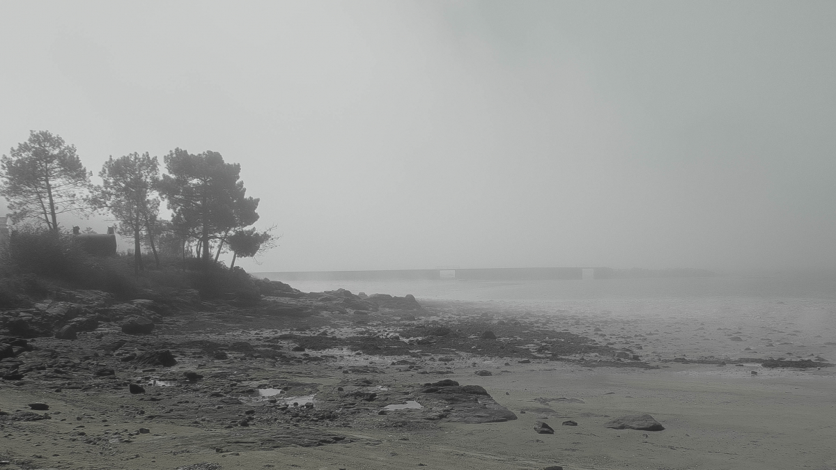 Palabras chave: vilanova, terron, rias baixas, arousa