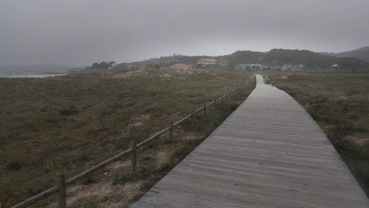 Palabras chave: Terron, Vilanova, arousa, rias baixas