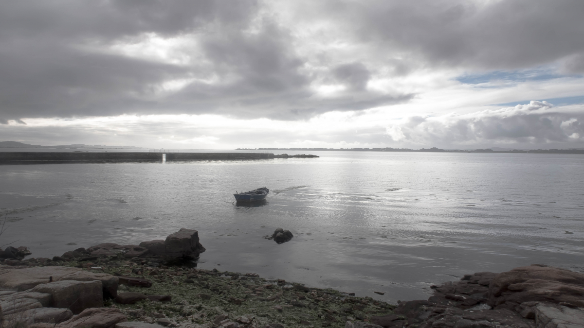 Palabras chave: Terron, Vilanova, arousa, rias baixas