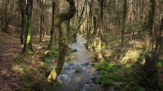 2019_03_17_campo_lameiro_-_maneses__282129.jpg