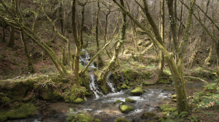 2019_03_17_campo_lameiro_-_maneses__282229.jpg