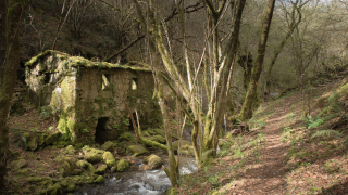 2019_03_17_campo_lameiro_-_maneses__282429.jpg