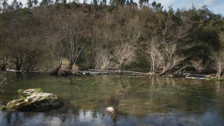 2019_03_17_campo_lameiro_-_maneses__283529.jpg