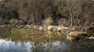 2019_03_17_campo_lameiro_-_maneses__283729.jpg