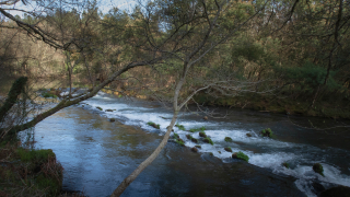 2019_03_17_campo_lameiro_-_maneses__284129.jpg