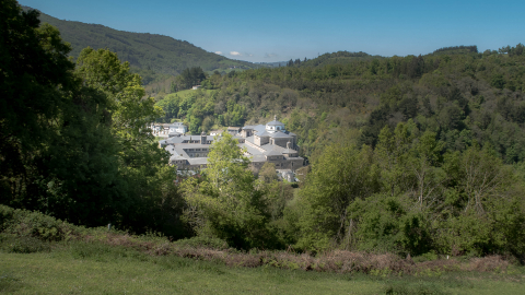 2019_05_04_Camino_Santiago_-_Cebreiro__282929~0.jpg