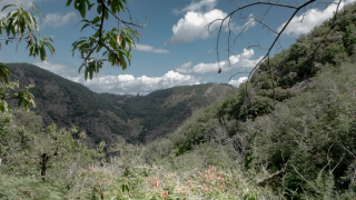 2019_07_29_Ribeira_sacra_-_santa_cristina__285029.jpg