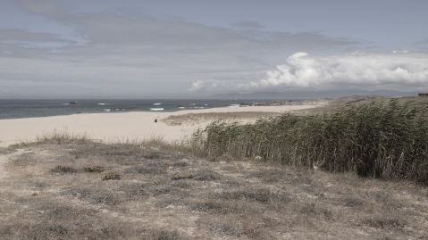 2020_08_14_xuno_corrubedo10~0.jpg