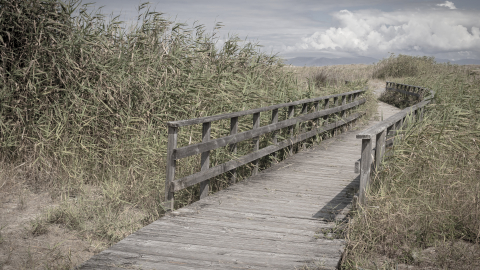 2020_08_14_xuno_corrubedo19~0.jpg