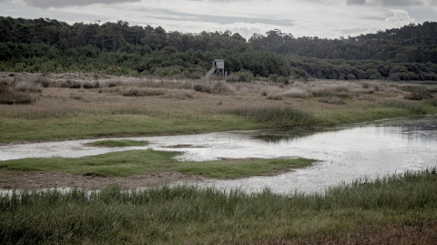 2020_08_14_xuno_corrubedo29~0.jpg