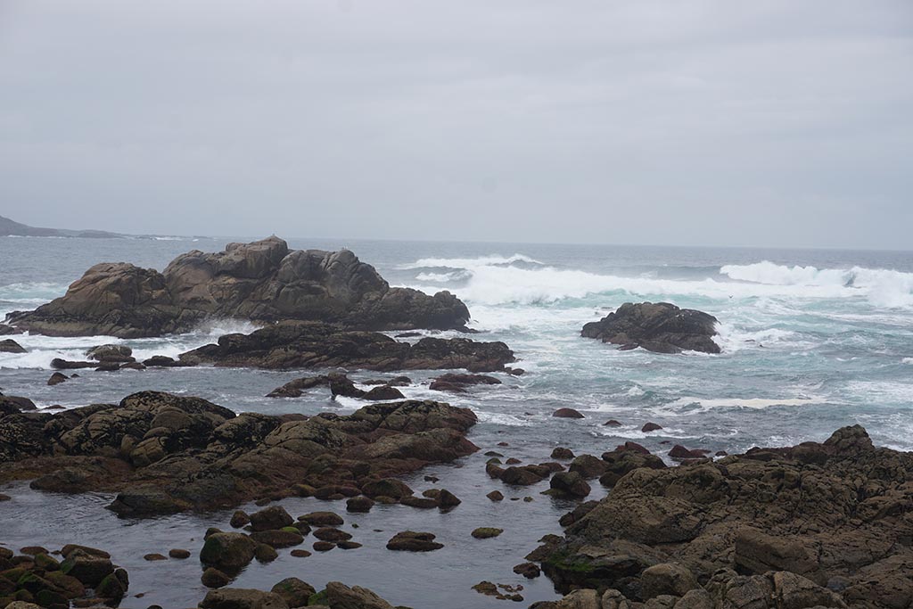 2016_coruña_semana_ciencia6.jpg