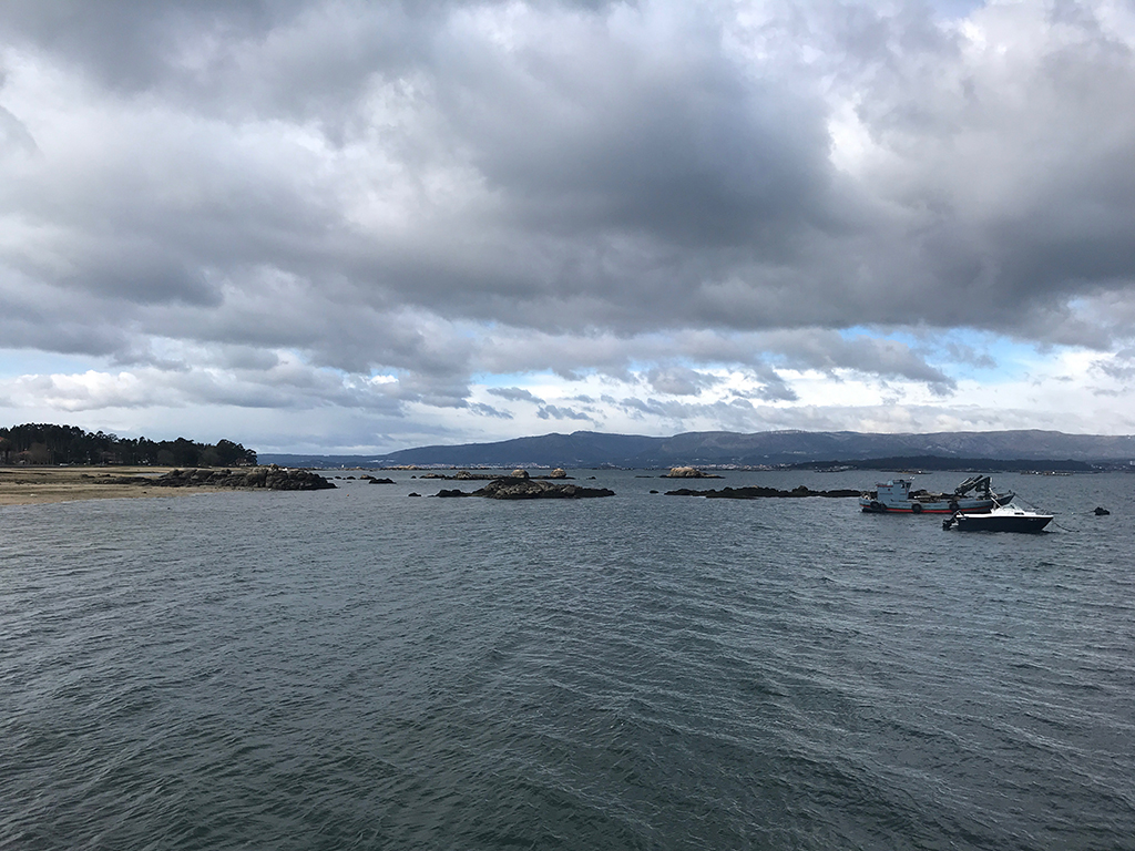 "Bateas en Vilanova de Arousa" por Ana Vázquez
 Bateas en Vilanova de Arousa. 4 febreiro 2018 
A foto é unha paisaxe mariña en Vilanova de Arousa (Pontevedra) na que podemos ver bateas, plataformas ancoradas no mar das que penden varias cordas, e nas que se crían moluscos, especialmente os mexillóns. Á dereita da imaxe observamos un barco batea, que como ben di o nome son barcos que se empregan para ir a estas plataformas. Nesta zona hai moita actividade conserveira, e grazas a isto xéranse numerosos postos de traballo neste sector. 
Cobre a paisaxe un ceo de negras nubes, que probablemente descargarán abundante choivas, asociadas ás borrascas da Fronte Polar. Estas baixas presións entran procedentes do Atlántico, cargadas de humidade, e durante boa parte do ano condicionan o clima das Rías Baixas e de toda Galicia. 
Ana Vázquez.
