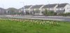 18_29042019_Casas_de_Balbriggan.jpg