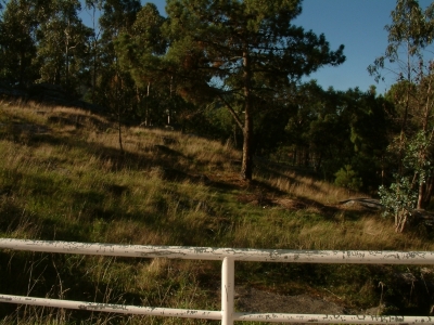 Variación da luminosidade (10:50 h)
