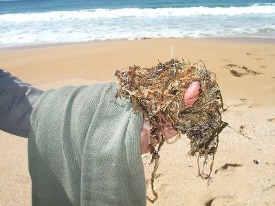 corrubedo_01.jpg