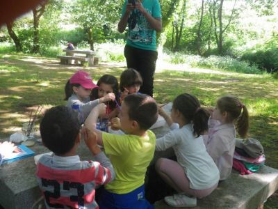 10 de xuño de 2015
Venres 7 de xuño- Día do Medio Ambiente.
Palabras chave: actividade educativa