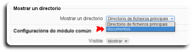 Mostrar un directorio