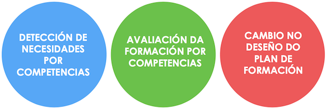 Orientación da formación global cara ás competencias profeionais.