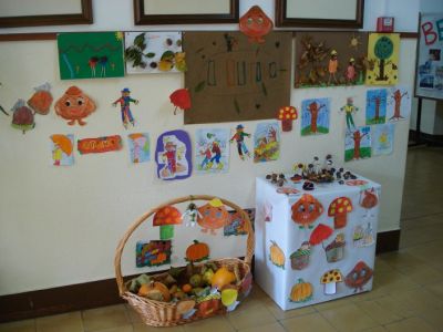 Exposición primaria
