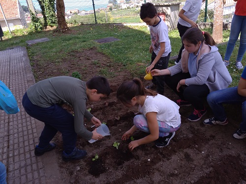 Horto Ecolóxico na Escola