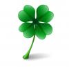 Feliz día de San Patricio ou St. Patrick´s day!!!