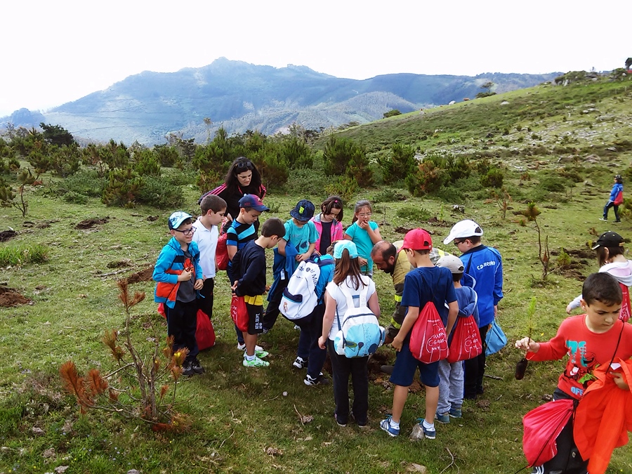 monte2015_09.jpg