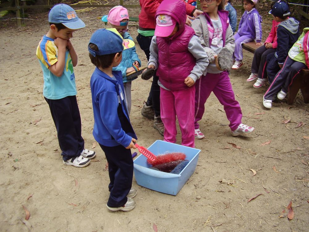 escollendo os cepillos
