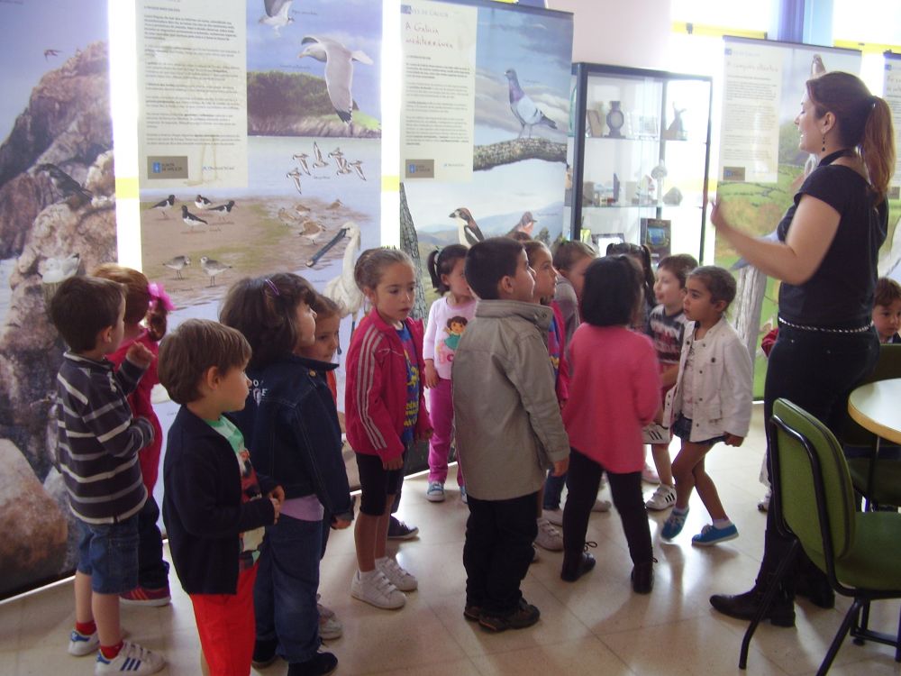 exposición aves Casa da Cultura
