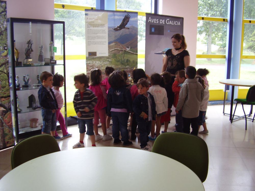 exposición aves Casa da Cultura
