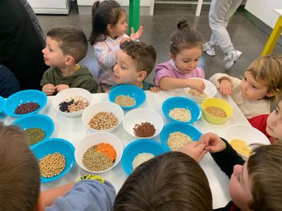 infantil_taller_cocina_281629.jpeg