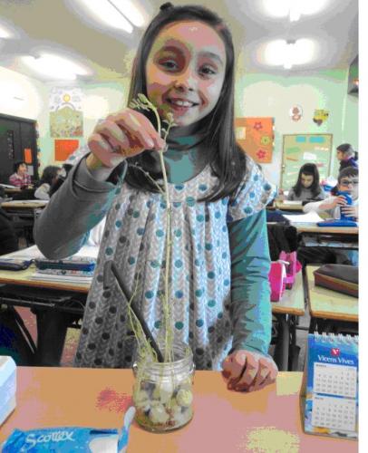 niña plantando