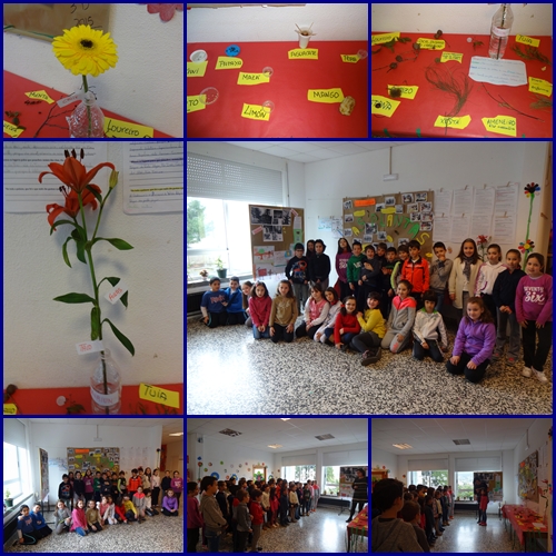 Os nenos de 3º ensinan a sñua exposición sobre as prantas. HAi flores, semillas...