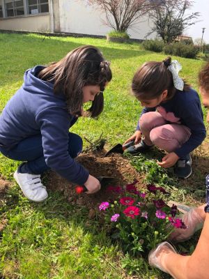 Horta e xardín (32)
Palabras chave: Polos Creativos, Horta