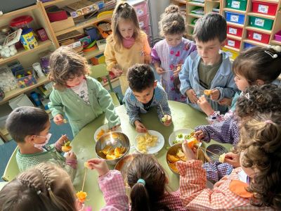 Horta en infantil (1)
