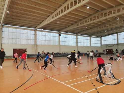 Palabras chave: convivencia Cabanas badminton xogos alternativos