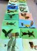 ARTS . 3º
Animals with dry leaves
