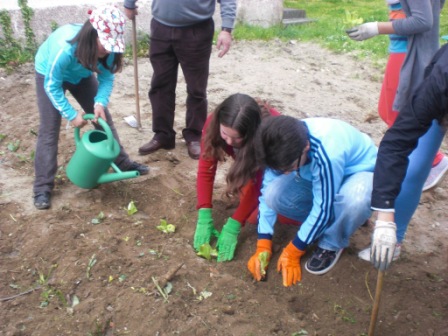 plantamos leitugas