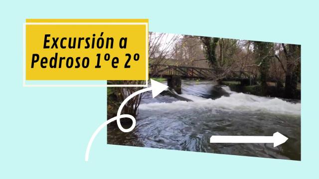 Excursión a Pedroso - 1º e 2º de Primaria