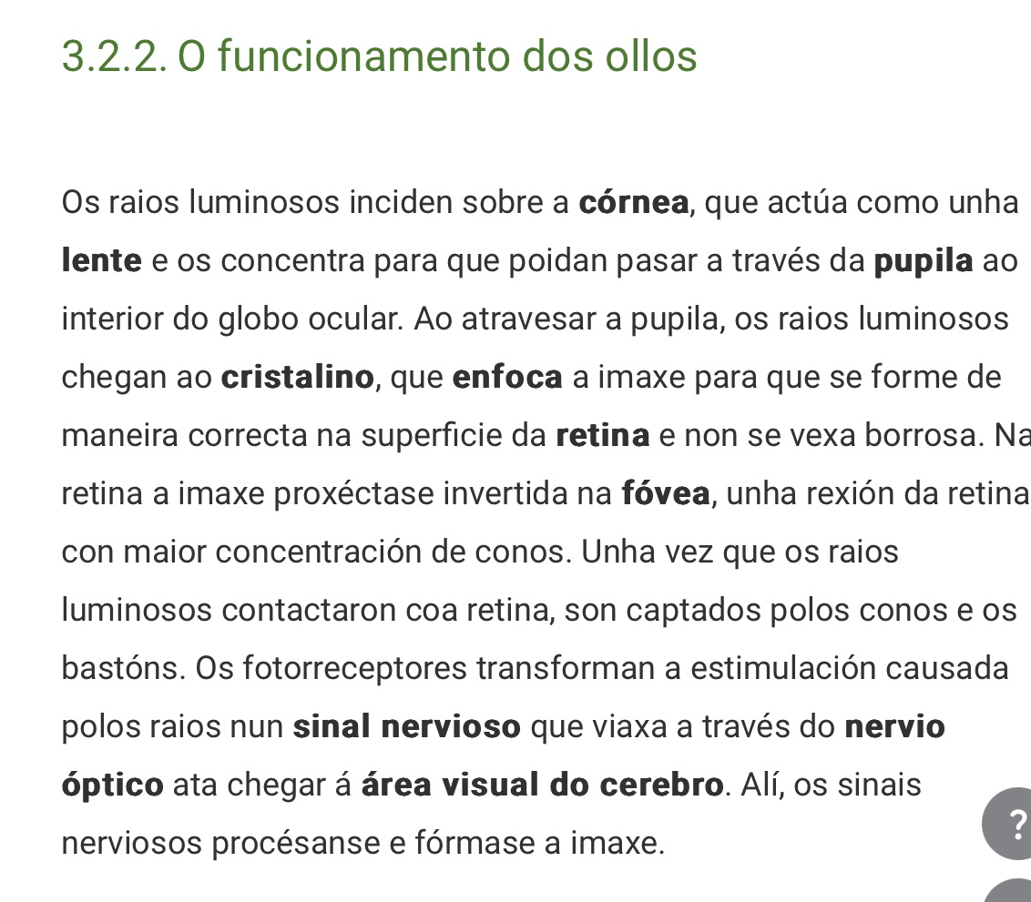 O funcionamento dos ollos