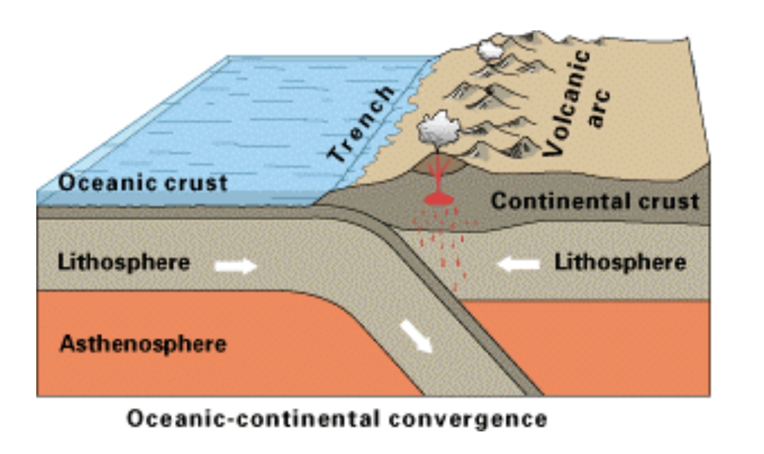 Converxencia océano- continente 