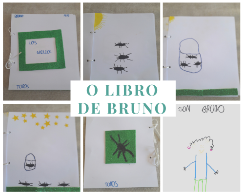 LIBRO DE BRUNO