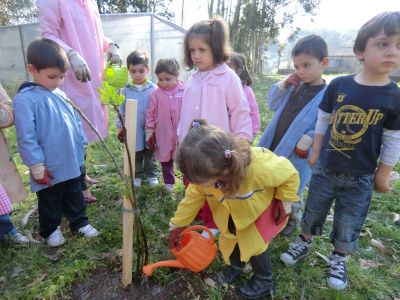 Leiro_Plantando_Figueira_(18).JPG