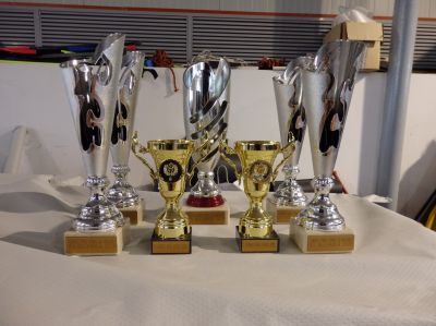 Os trofeos para entregar aos centros participantes.
