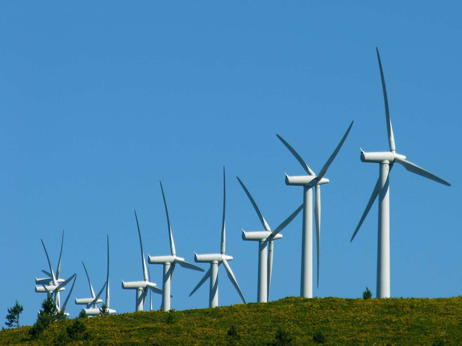 Foto de unos aerogeneradores de la central eólica do Pindo, Galicia.