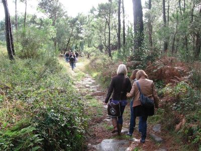 Through the forest, we are going to Castro de Baroña.
