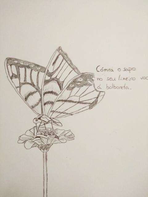 Haiku Antón García Calvo 1º ESO