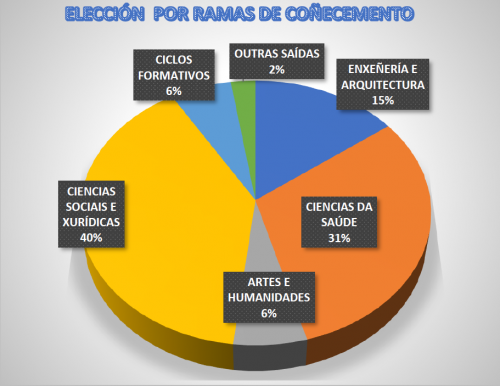 elección por ramas de coñecemento