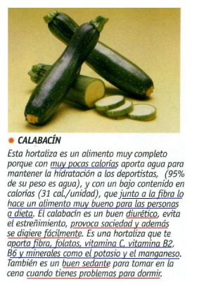 Calabacín.Diuréticos, sedantes, rico en fibra, vitamina C, B2 y B6.2.008
