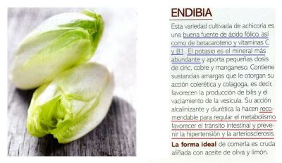 Endibias.Controla la hipertensión, la arteriosclerosis, regula el metabolismo y favorece el tránsito intestinal.Rica en ácido fólico, potasio, vitamina C y B1.Revista Saber Vivir 2.012
